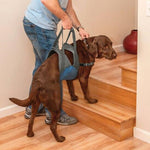 Kurgo - Up & About Dog Lifter