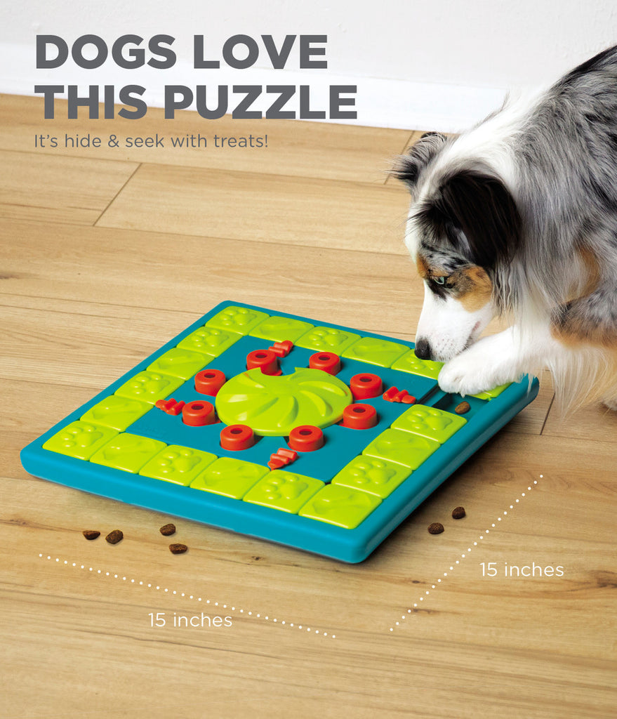 Outward Hound - Nina Ottosson - Dog MultiPuzzle Level 4
