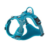 TrueLove No Pull Harness Blue S