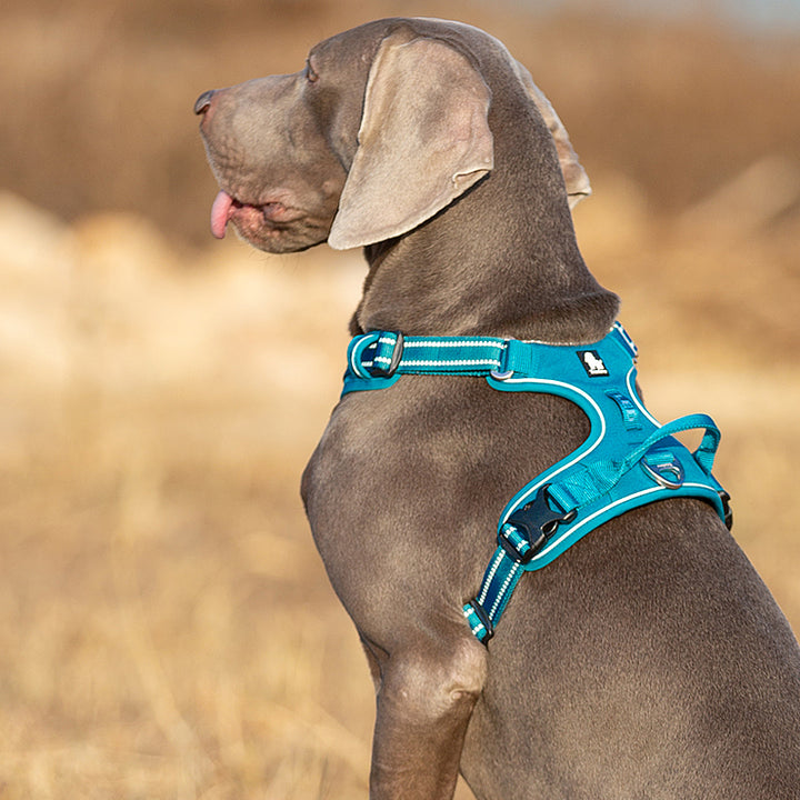 TrueLove No Pull Harness Blue S