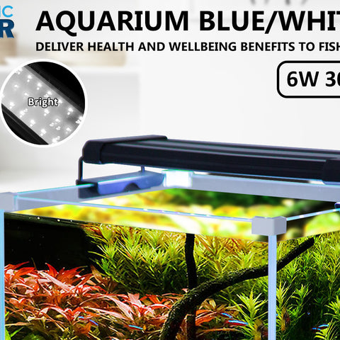  6W Aquarium Blue White LED Light for Tank 30-50cm