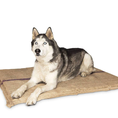 YES4PETS Jumbo Hessian Pet Dog Puppy Bed Mat Pad House Kennel Cushion With Foam 110 x 78 cm