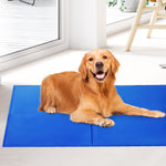 2X Pet Cooling Bed Gel Mat Dog Cat Non-Toxic Pad Puppy Cold Summer 50x40 CM